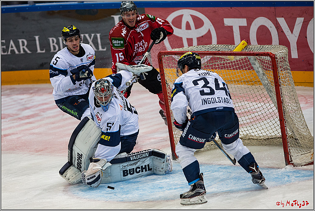DEL, Koelner Haie - ERC Ingolstadt, 20.01.2017